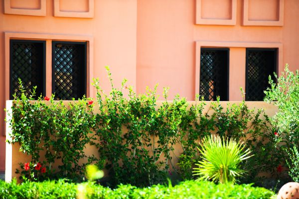 Hotel Palais Masandoïa (Erfoud)